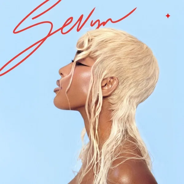 Cover art Assumptions - Sevyn Streeter